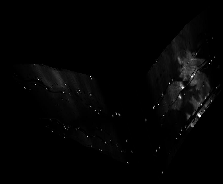 ascat_grayscale_proj_forward.png